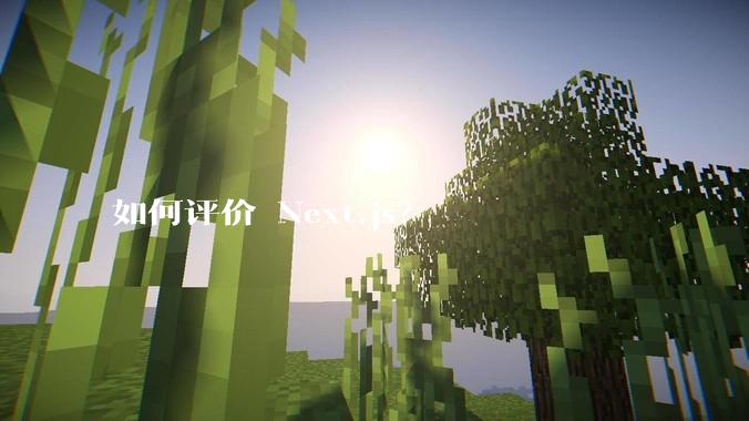 如何评价 Next.js？