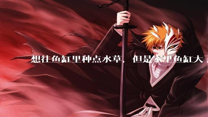 想往鱼缸里种点水草，但是家里鱼缸大了买水草泥或者底砂太贵了，有没有生活中可以替代的物品或其他建议？