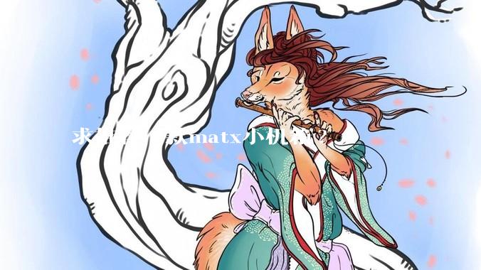 求推荐一款matx小机箱?