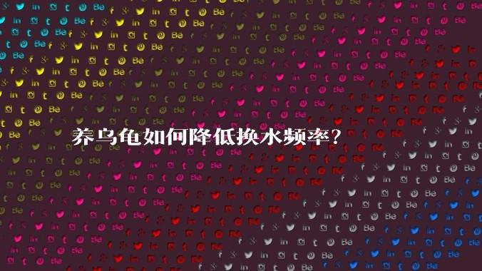 养乌龟如何降低换水频率？