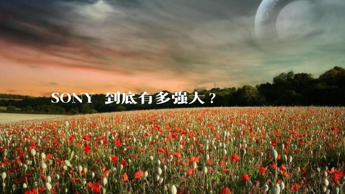 SONY 到底有多强大?