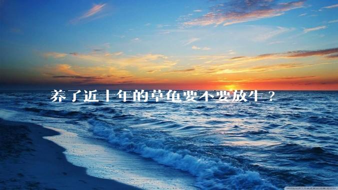 养了近十年的草龟要不要放生?