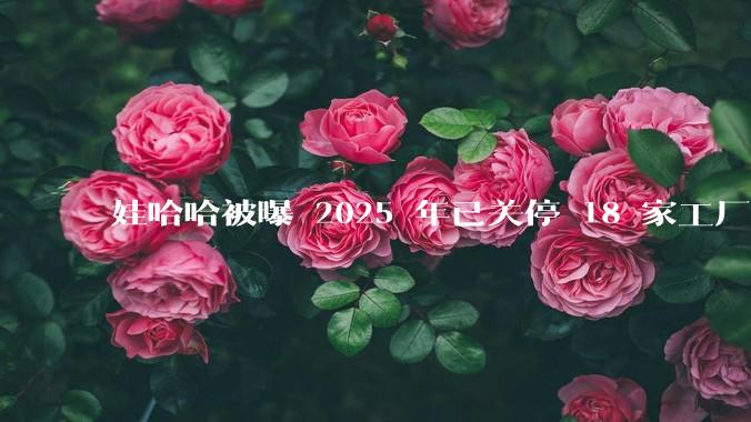 娃哈哈被曝 2025 年已关停 18 家工厂，此前曾回应纯净水由今麦郎代工，娃哈哈到底在布局什么？