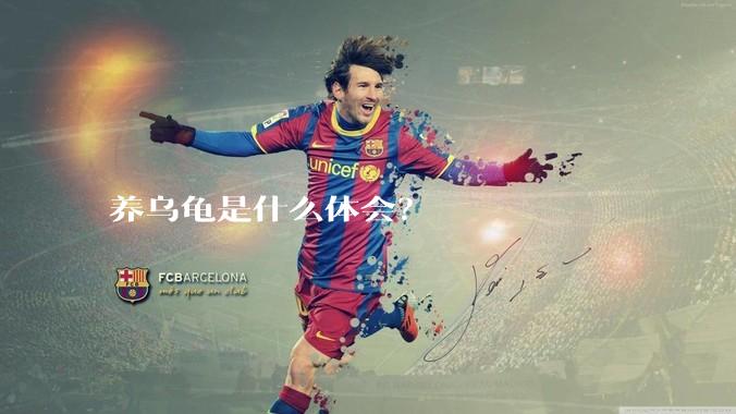 养乌龟是什么体会？