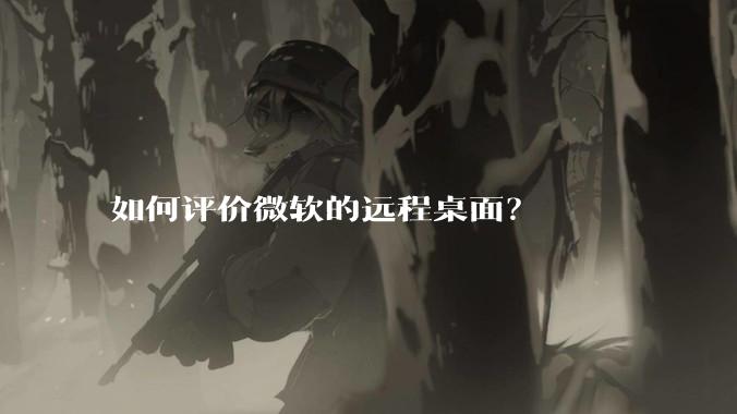 如何评价微软的远程桌面？